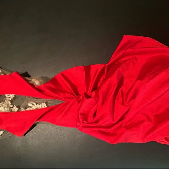 Red and Silver Sheer Dress - Picture 6 of 6